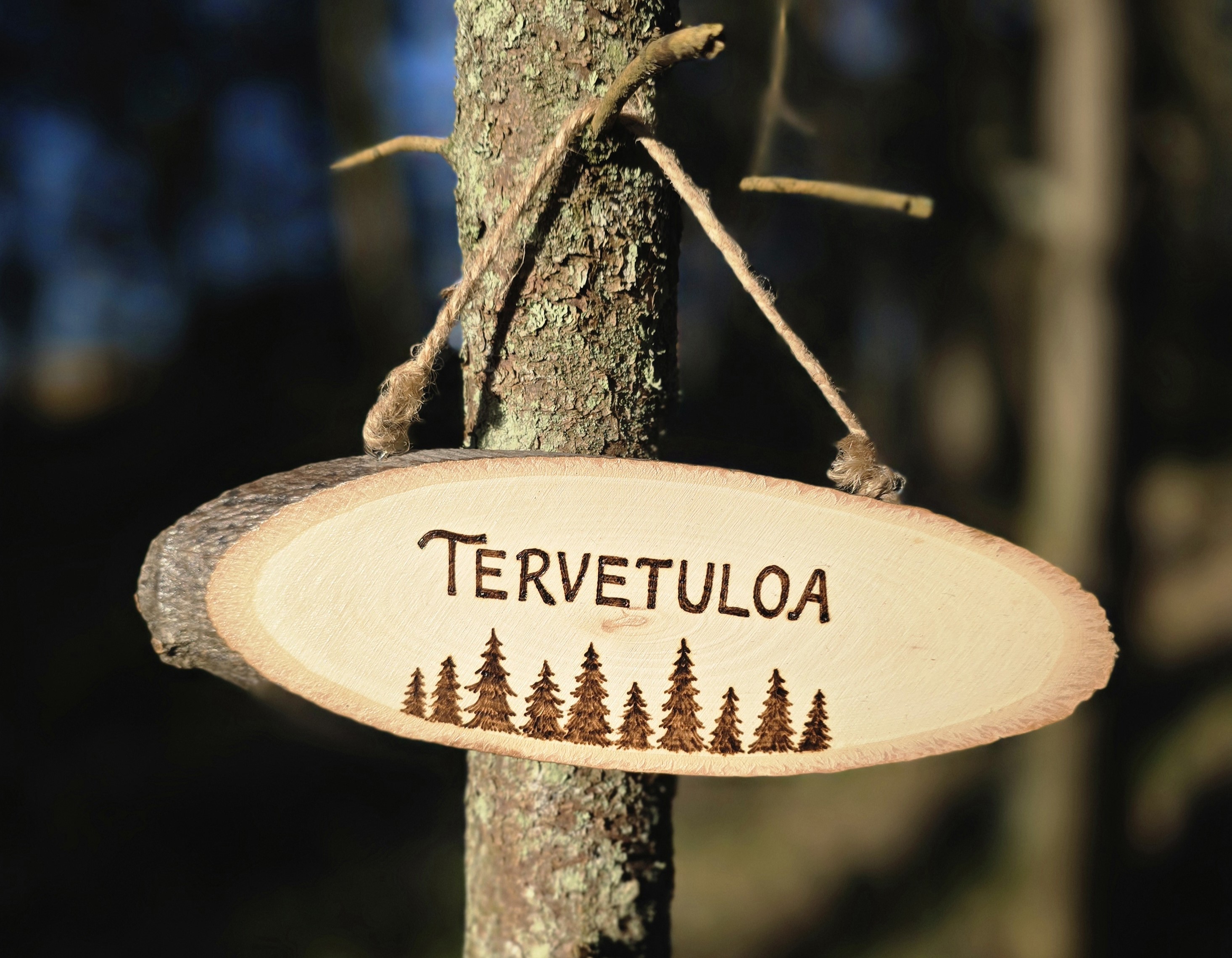 tervetuloa2